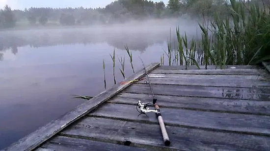 Oczko Дом отдыха